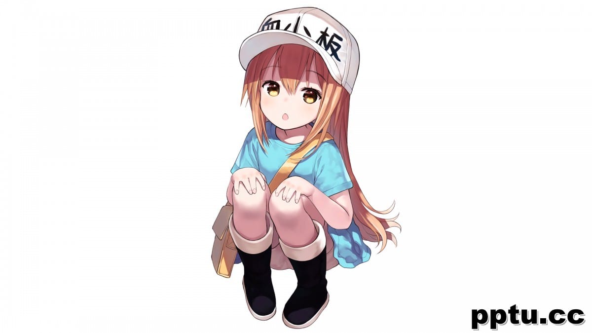 血小板动漫人物壁纸