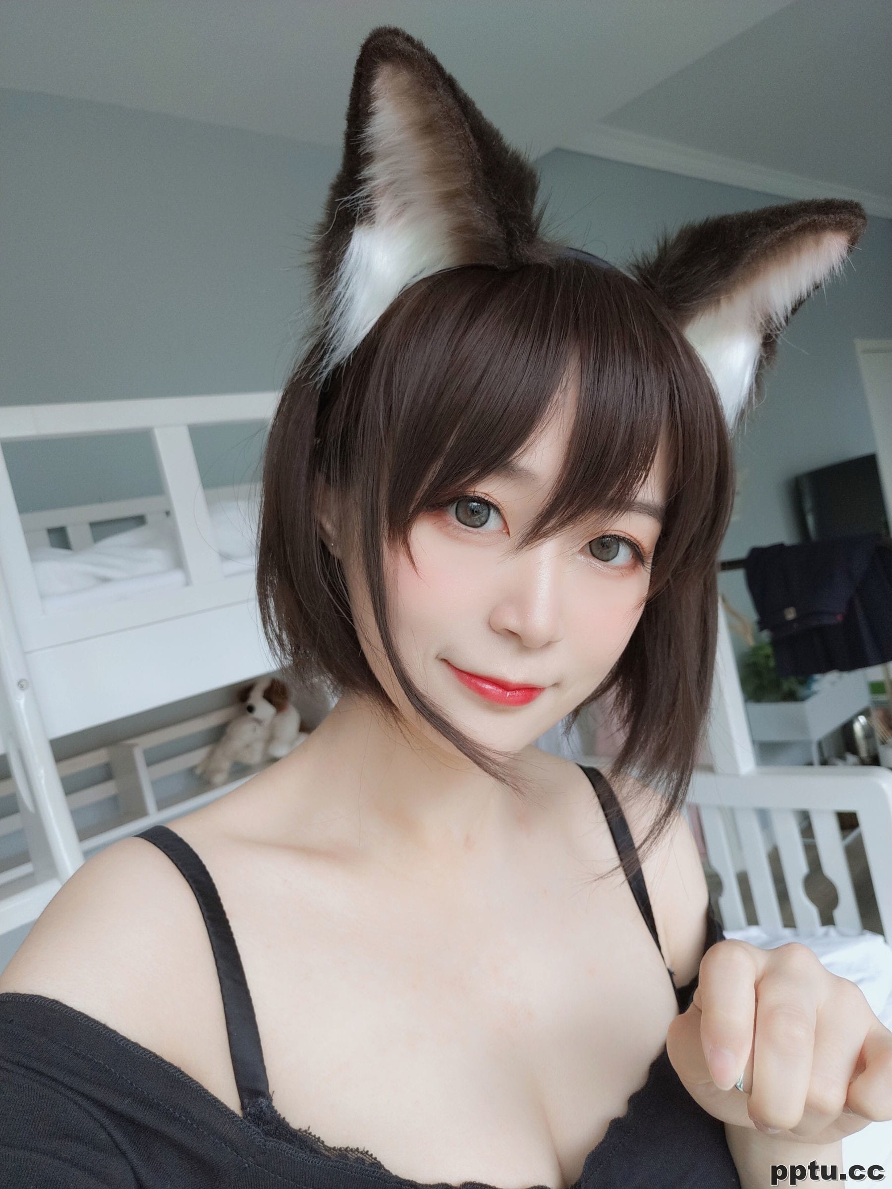 COSER白银81《布偶猫》 [COSPLAY少女] 写真集