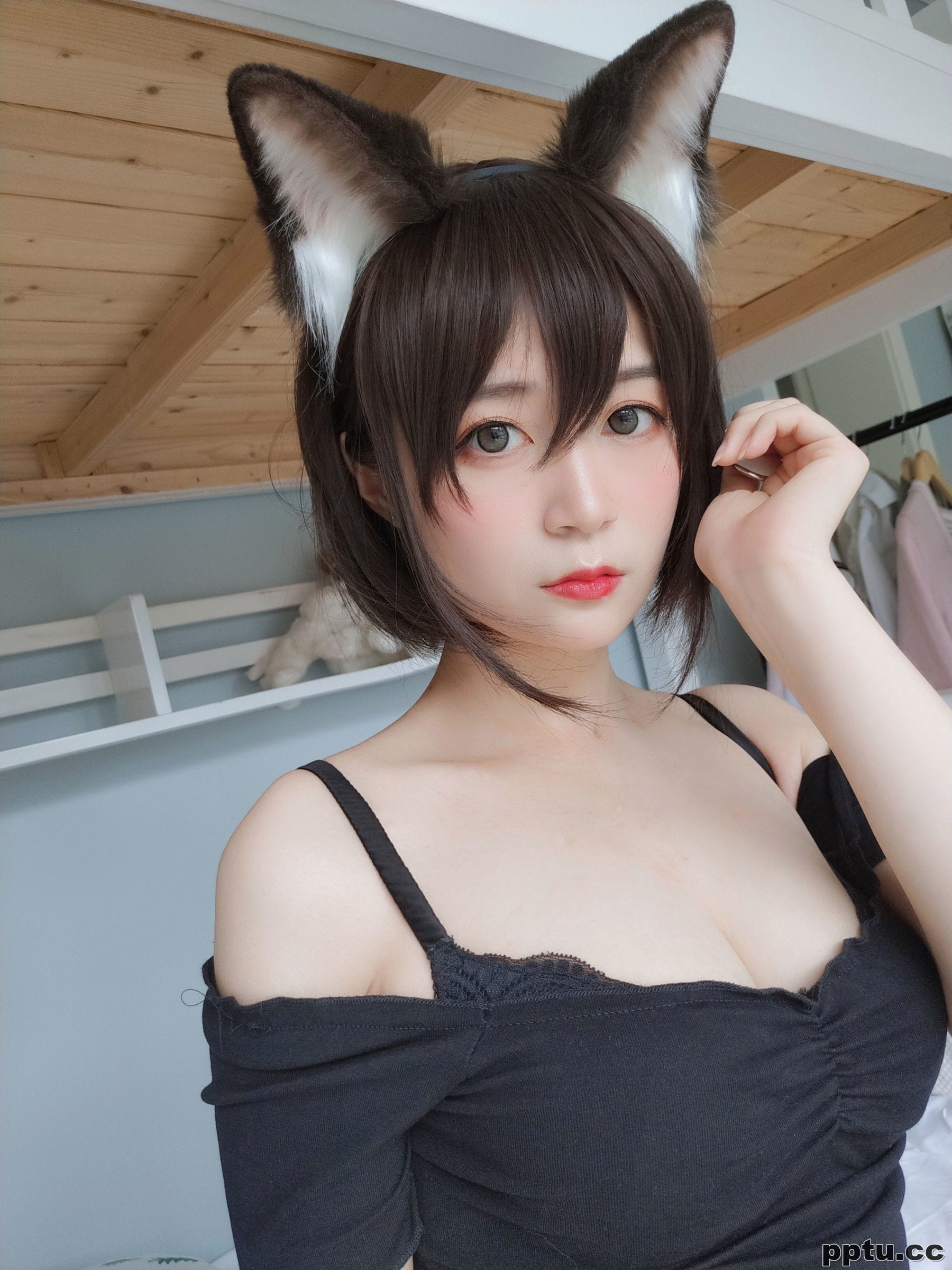 COSER白银81《布偶猫》 [COSPLAY少女] 写真集