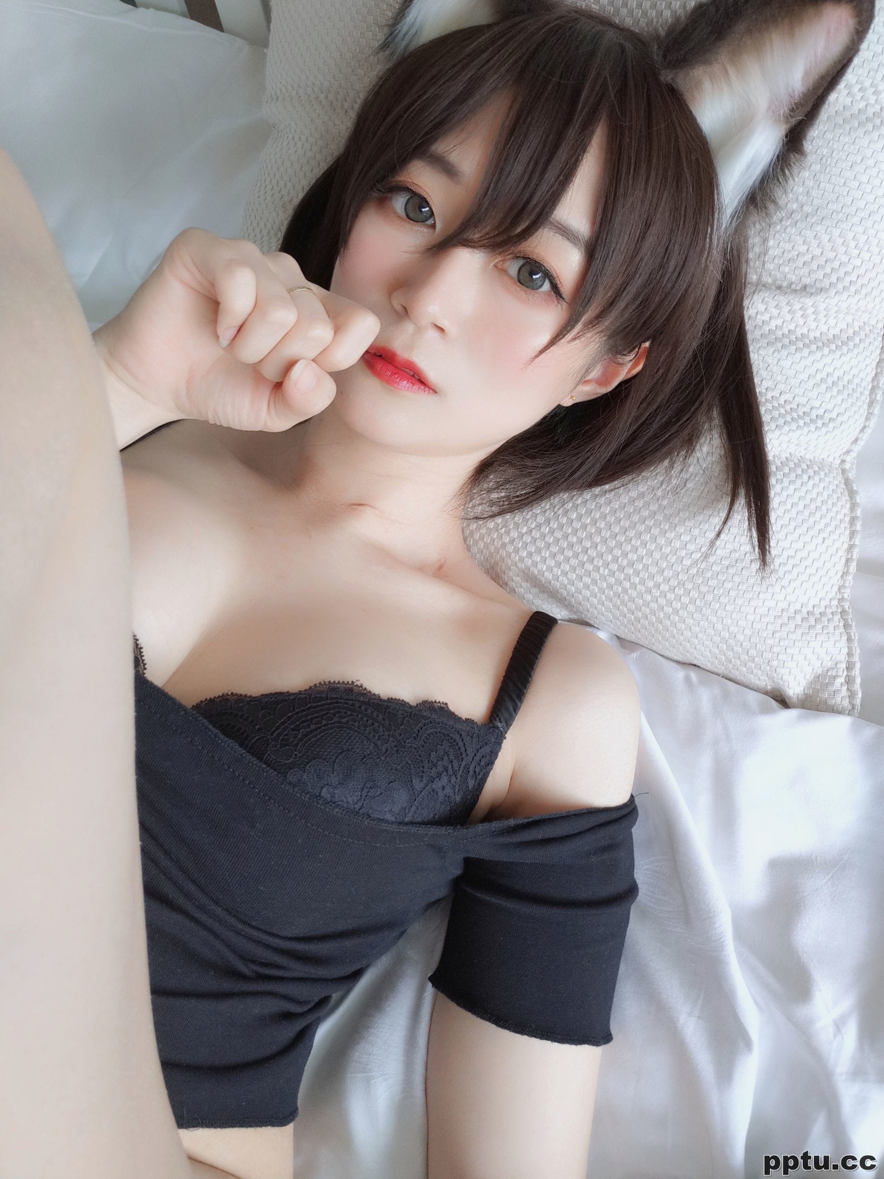 COSER白银81《布偶猫》 [COSPLAY少女] 写真集