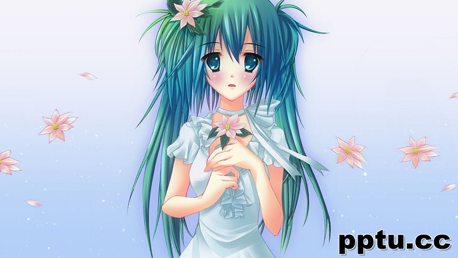 动漫美女初音未来演唱会图片