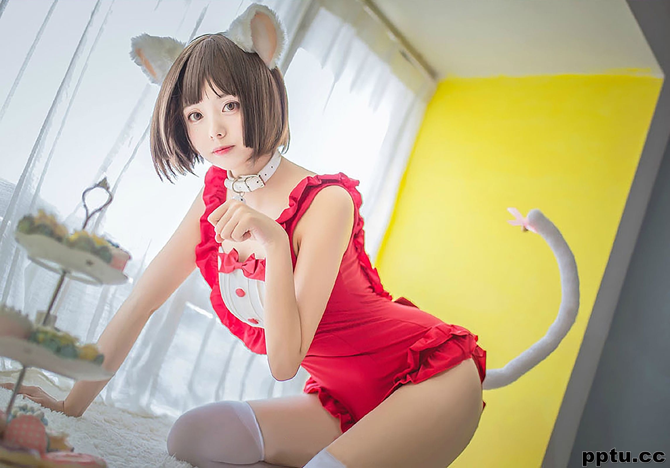 小野妹子w《猫系泳衣+魔法少女伊莉雅》 [COSPLAY美女] 写真集