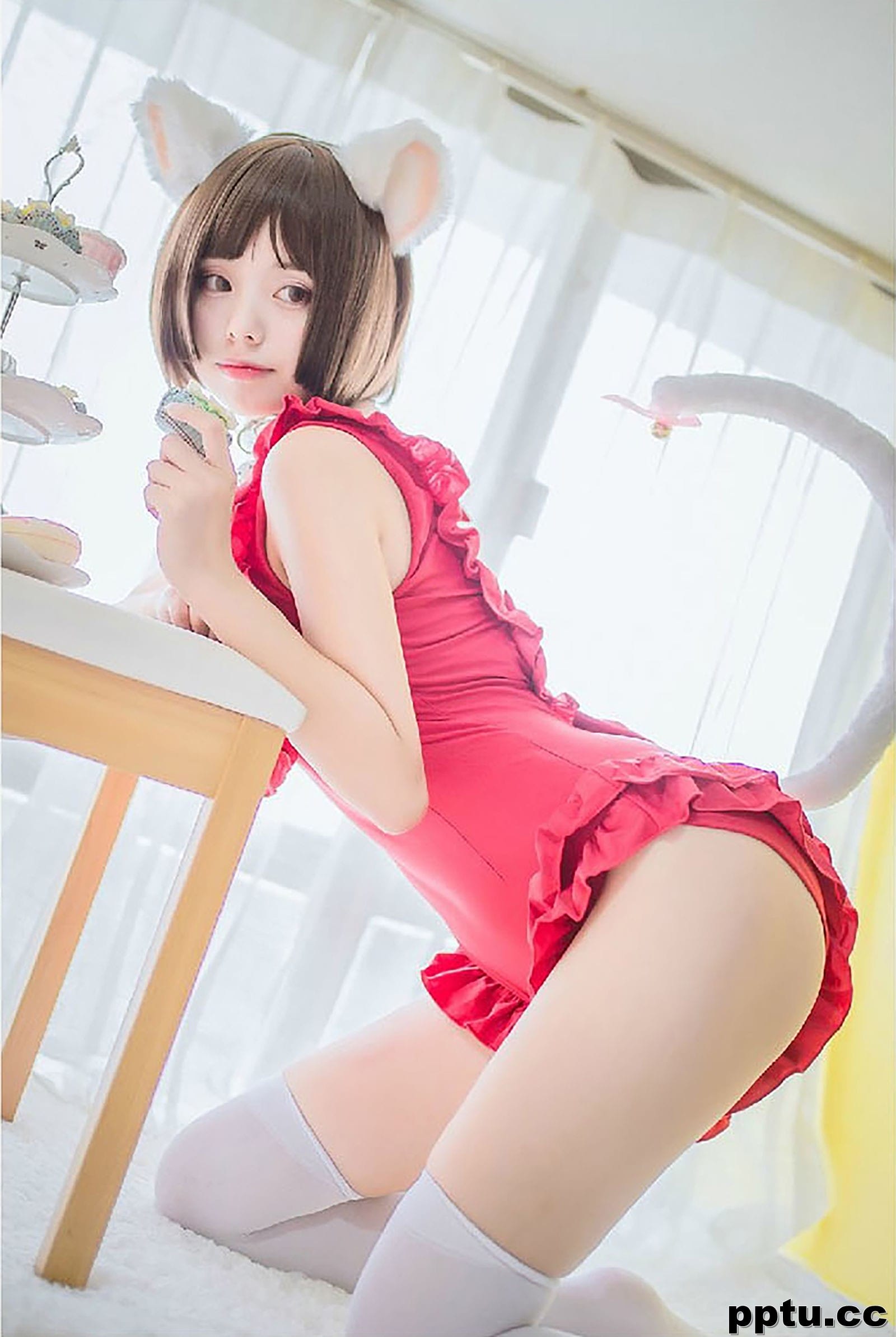 小野妹子w《猫系泳衣+魔法少女伊莉雅》 [COSPLAY美女] 写真集