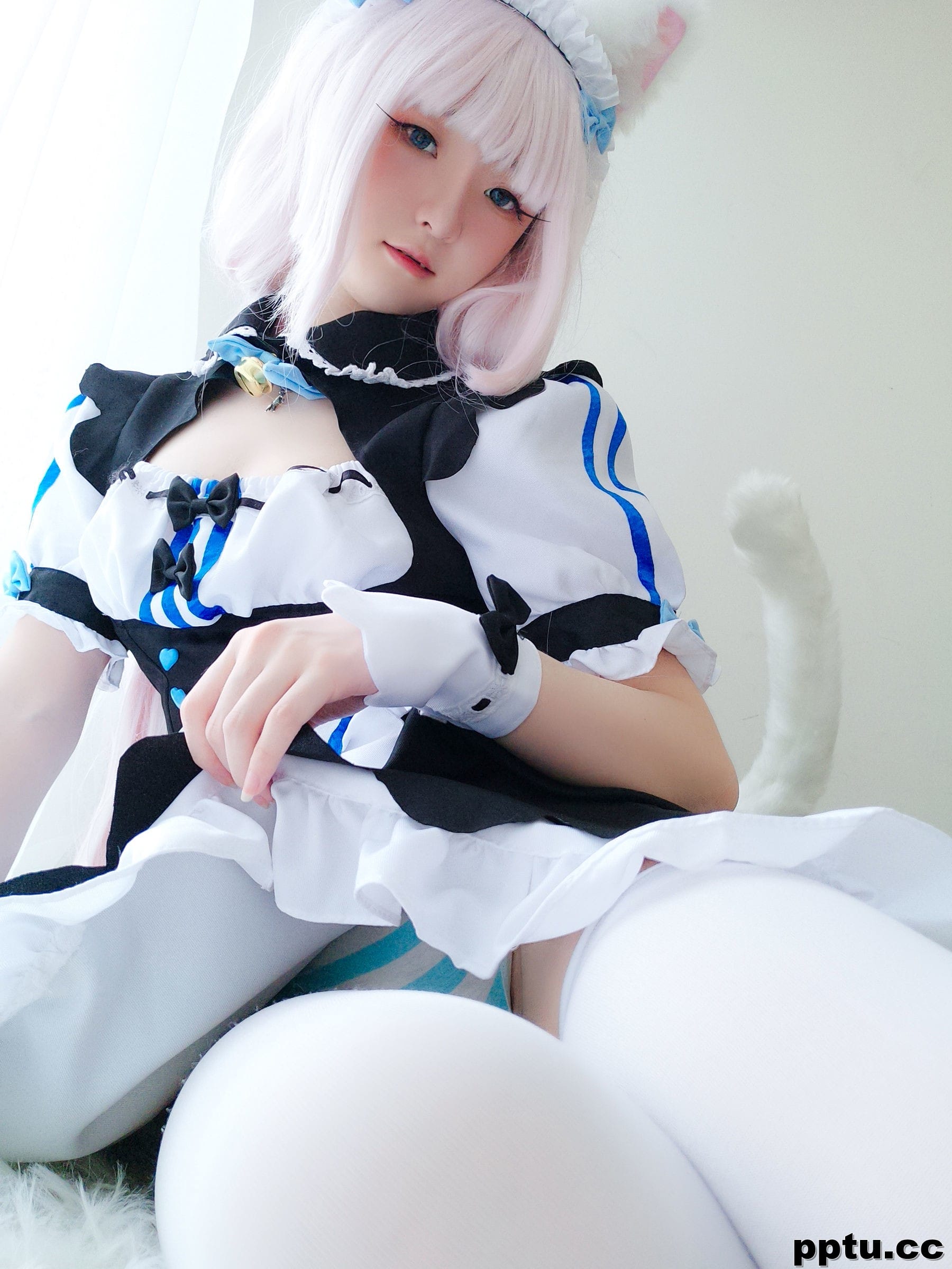 一小央泽《猫娘香子兰》 [萝莉COS] 写真集