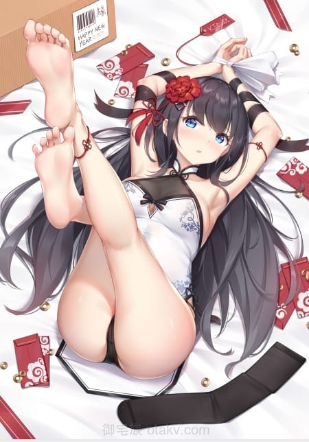 P站自己搜集的330张高清原图