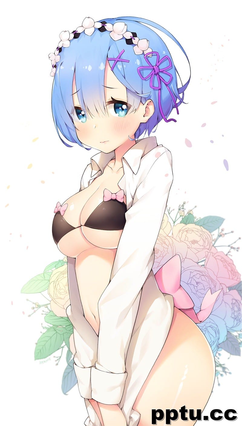 个人收集蕾姆等图片(共341p)