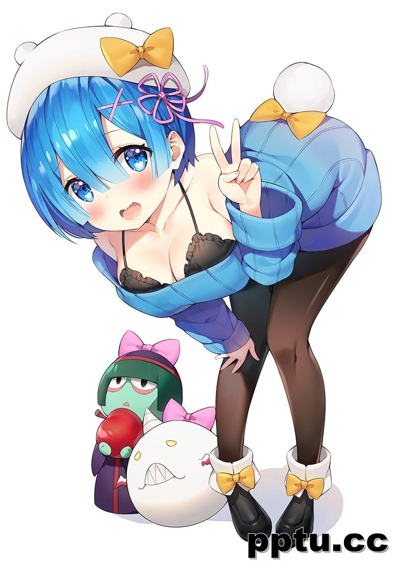 个人收集蕾姆等图片(共341p)