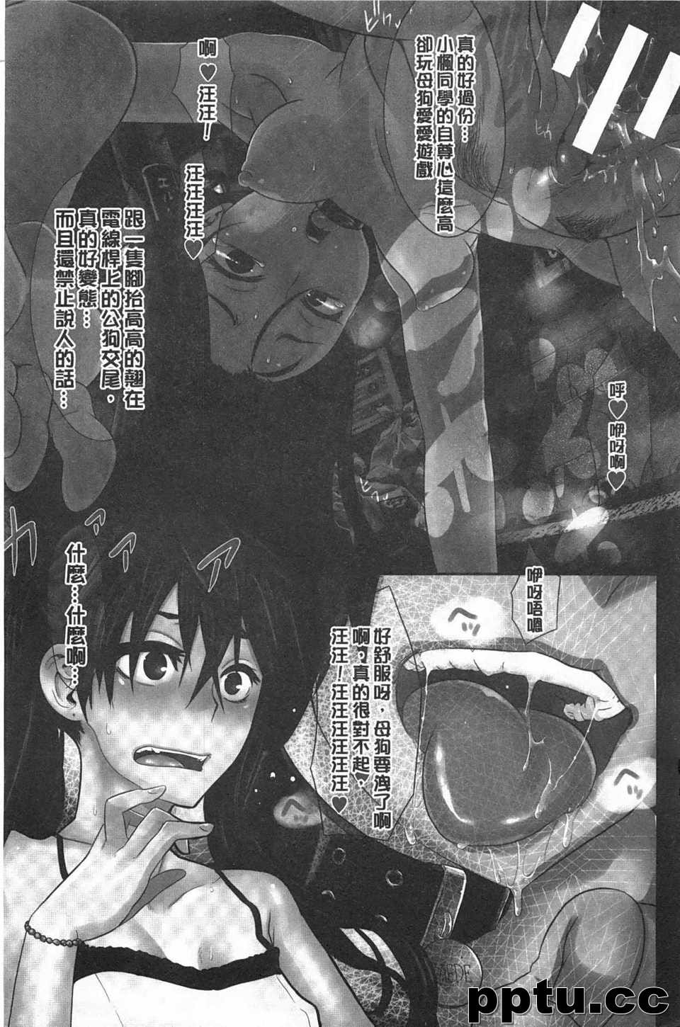 [新堂エル] 邾ぅ欹濂椹`ズ