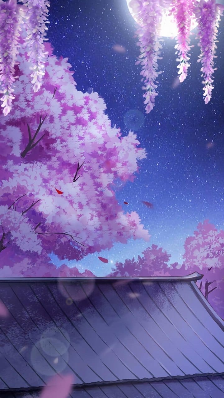二次元动漫唯美场景小清新手机锁屏桌面壁纸合集