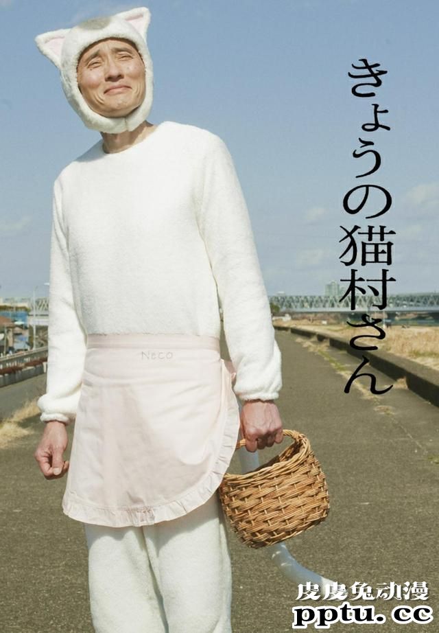 比泡面番还短的「今日的猫村小姐」漫改剧 却能治愈人心