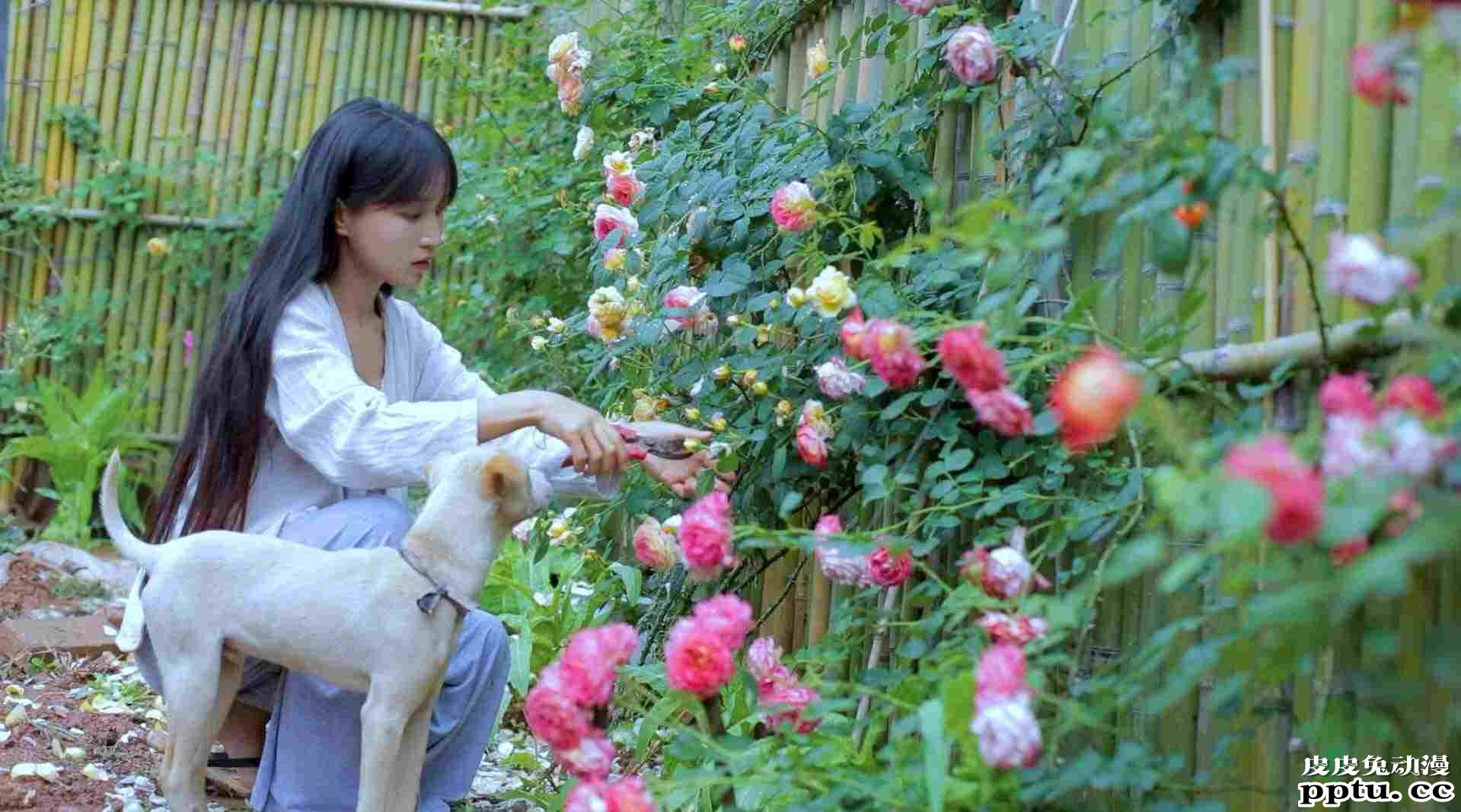 2020ChinaJoy首度亮相洛裳华服•赏  传统服饰文化潮下的游戏圈