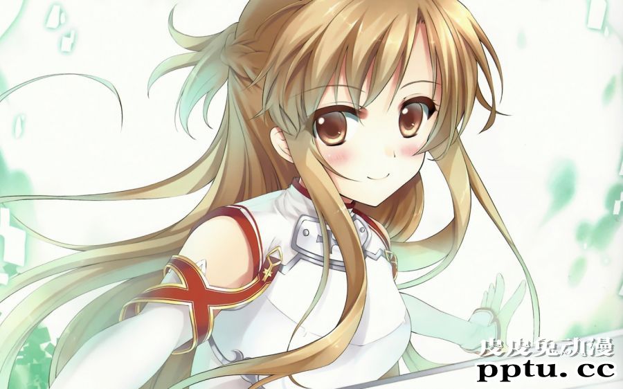 轻小说《刀剑神域》最性感的动漫美女结城明日奈