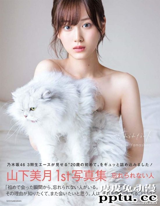 新垣结衣只排第十 2020上半年日本写真集销售排行榜TOP10