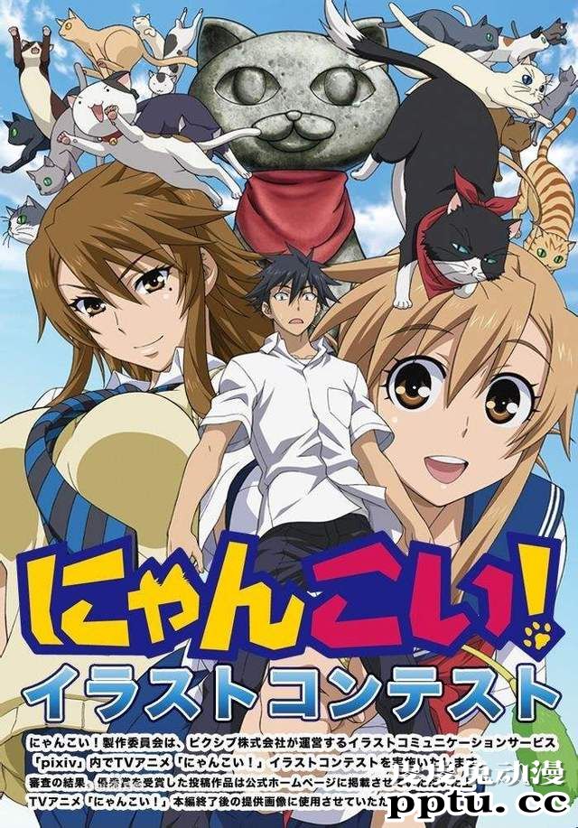 “有生之年”系列—「猫愿三角恋」