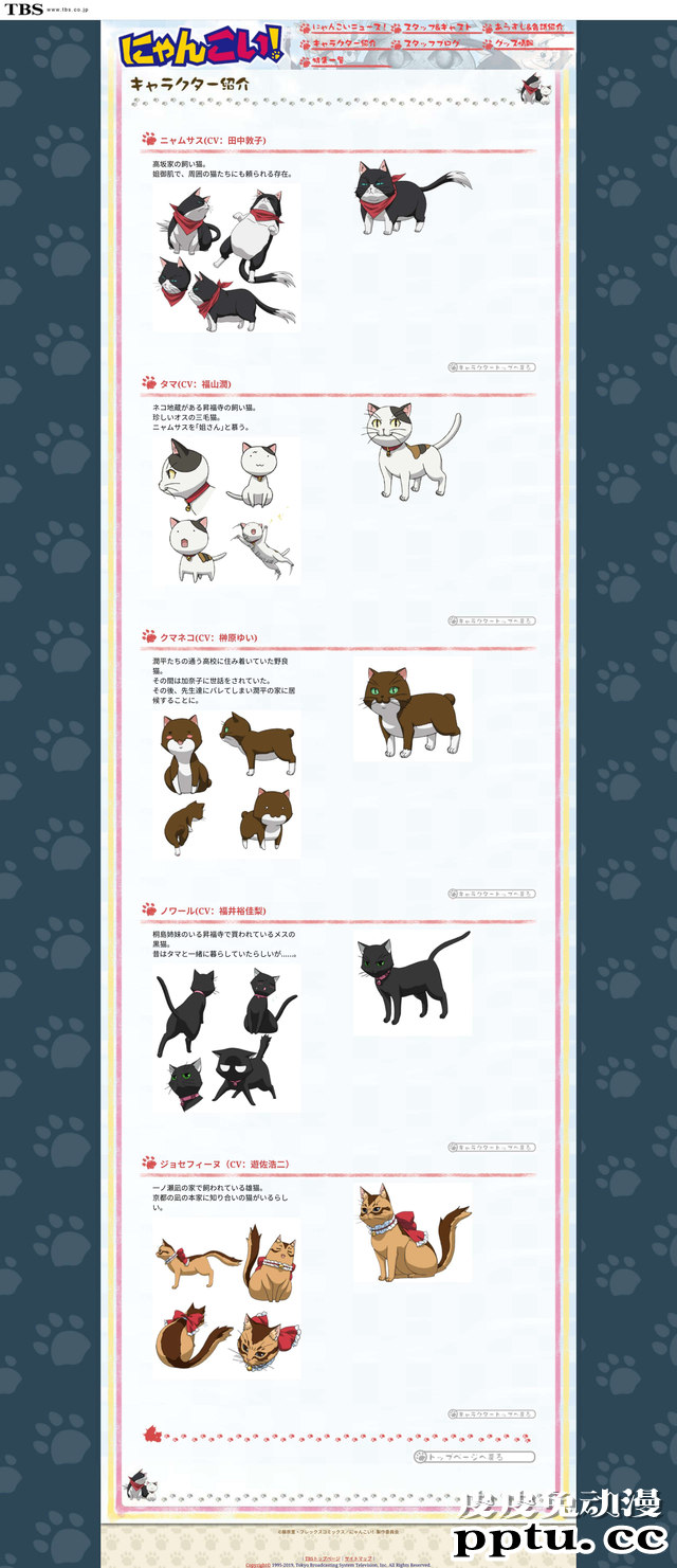 “有生之年”系列—「猫愿三角恋」