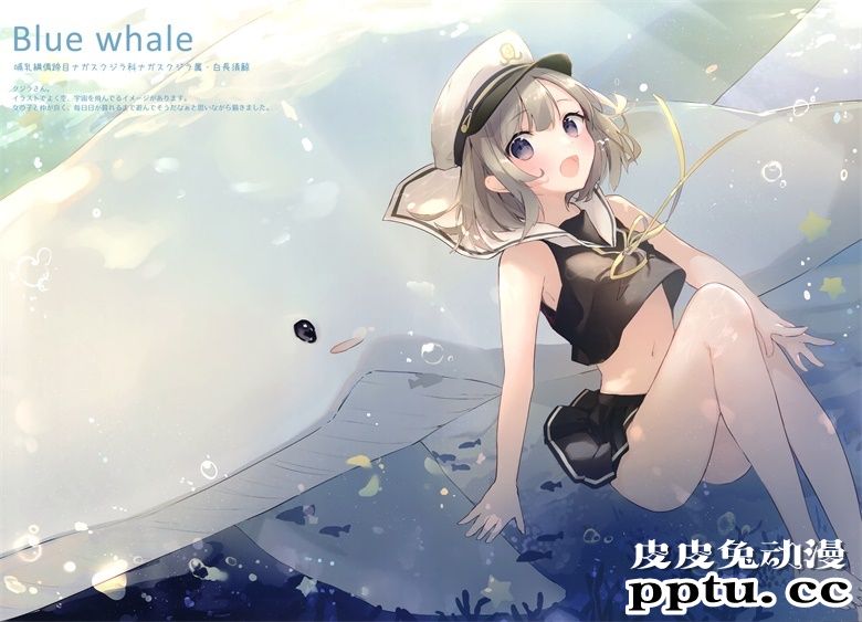 (C98) [sencyairo (Sakana、せんちゃ)] Animal+