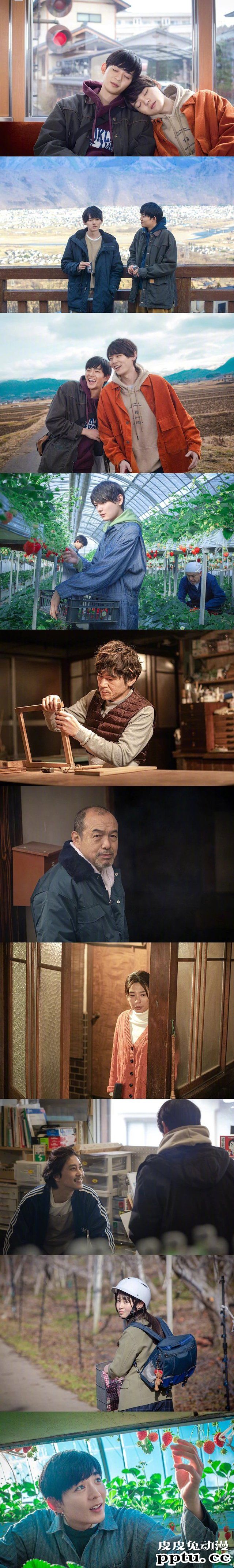 漫改电影「在回家之后重新开始」公开预告和第一弹剧照-皮皮兔动漫