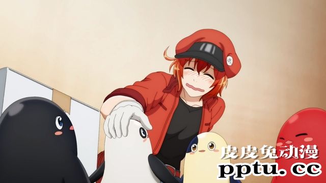 特别上映版「工作细胞」公开正式PV和海报-皮皮兔动漫