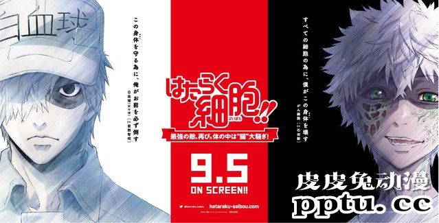 特别上映版「工作细胞」公开新宣传图 9月5日上映-皮皮兔动漫
