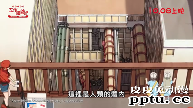 「工作细胞」特别上映版即将登陆台湾地区-皮皮兔动漫