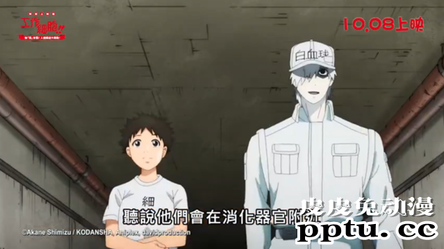 「工作细胞」特别上映版即将登陆台湾地区