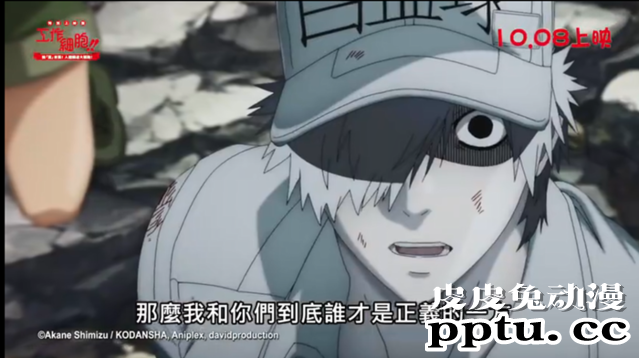 「工作细胞」特别上映版即将登陆台湾地区