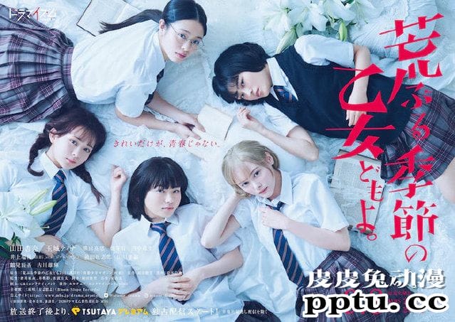 漫改真人剧「骚动时节的少女们啊。」追加演员公布 9月8日开播