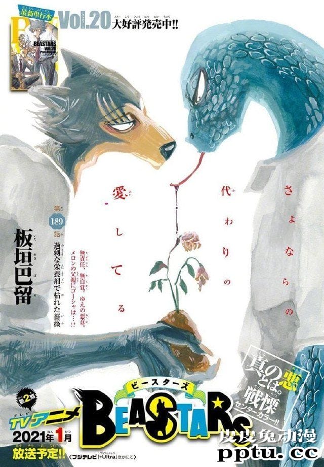 漫画「动物狂想曲（BEASTARS）」最新话彩图公开-皮皮兔动漫