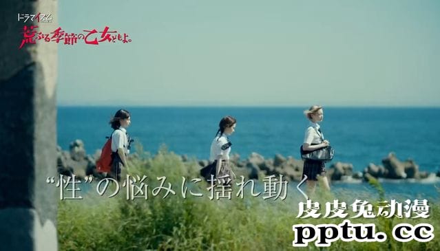漫改日剧「骚动时节的少女们啊」预告公开 9月8日开播