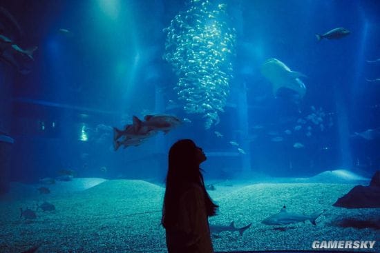 2020港姐选拔已经结束 三甲美女终于颜值在线！