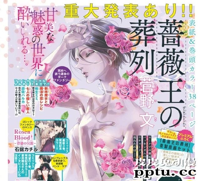 「玫瑰之王的葬礼蔷薇王的葬队」将有重大情报！10月6日官宣-皮皮兔动漫