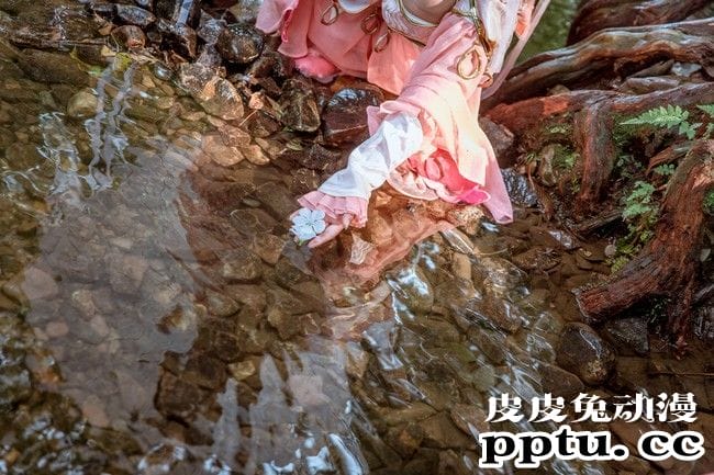 COSPLAY剑网3《定国七秀姐妹花》图片