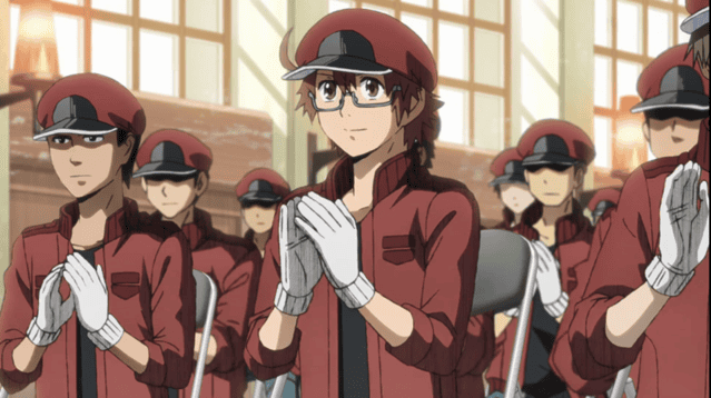 「工作细胞BLACK」PV第一弹公开 2021年1月开播-皮皮兔动漫