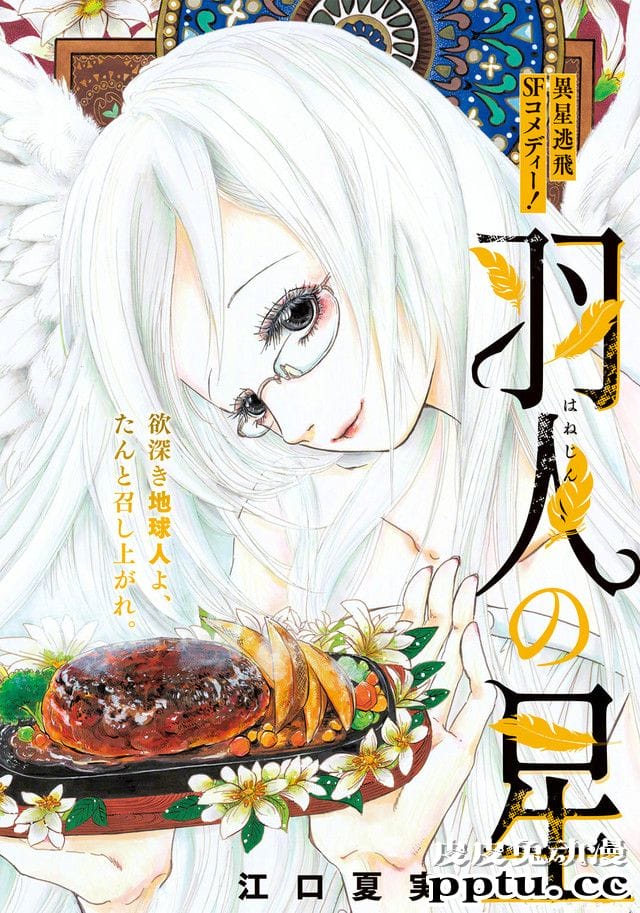 江口夏实 新作漫画「羽人之星」开始连载-皮皮兔动漫