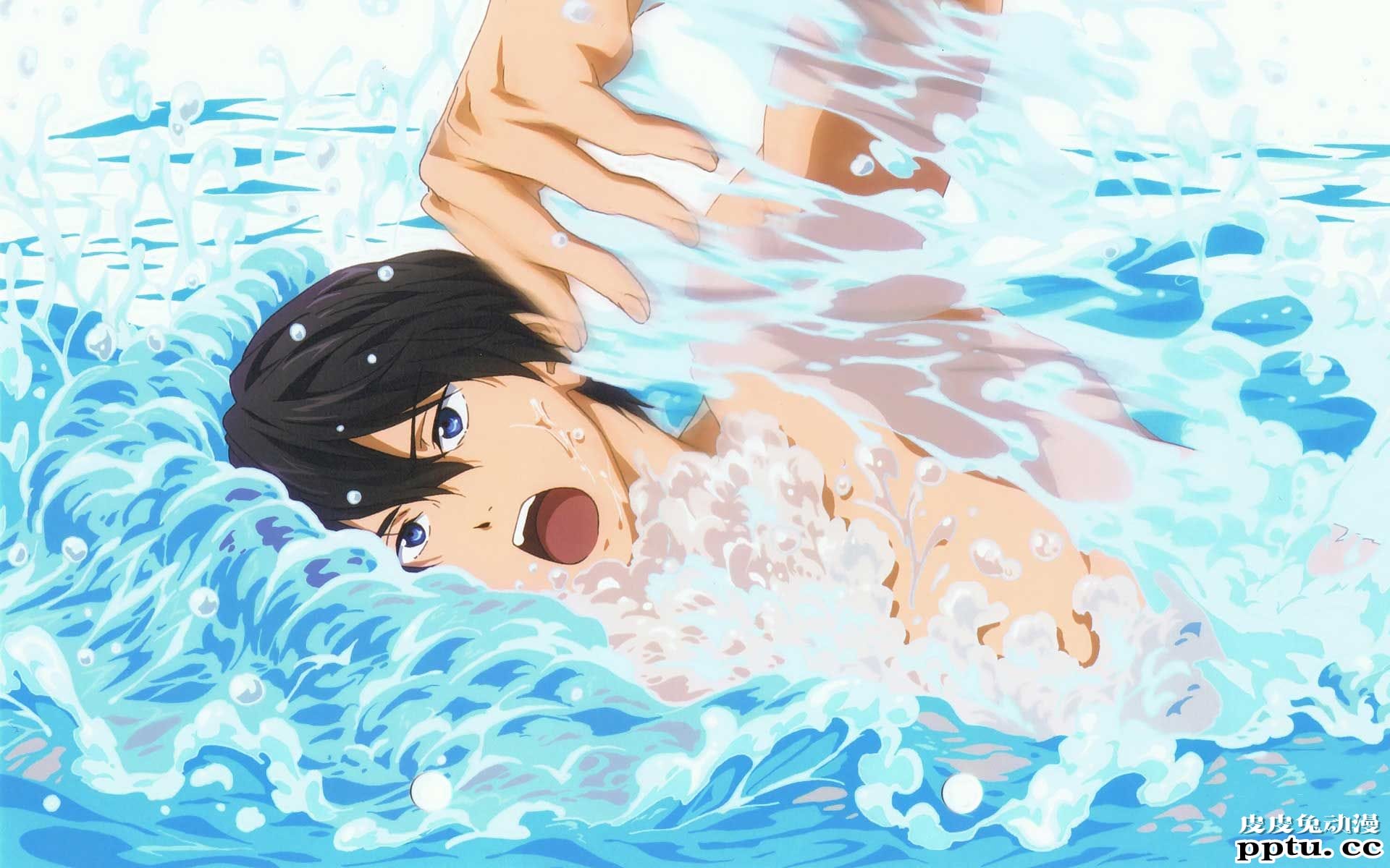 《free!》男子游泳部动漫图片分享