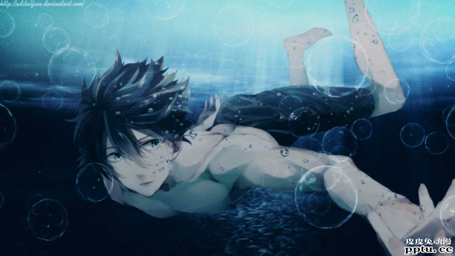 《free!》男子游泳部动漫图片分享