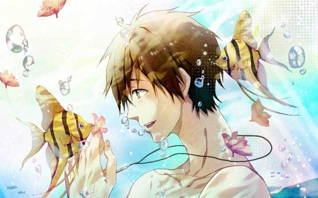 《free!》男子游泳部动漫图片分享