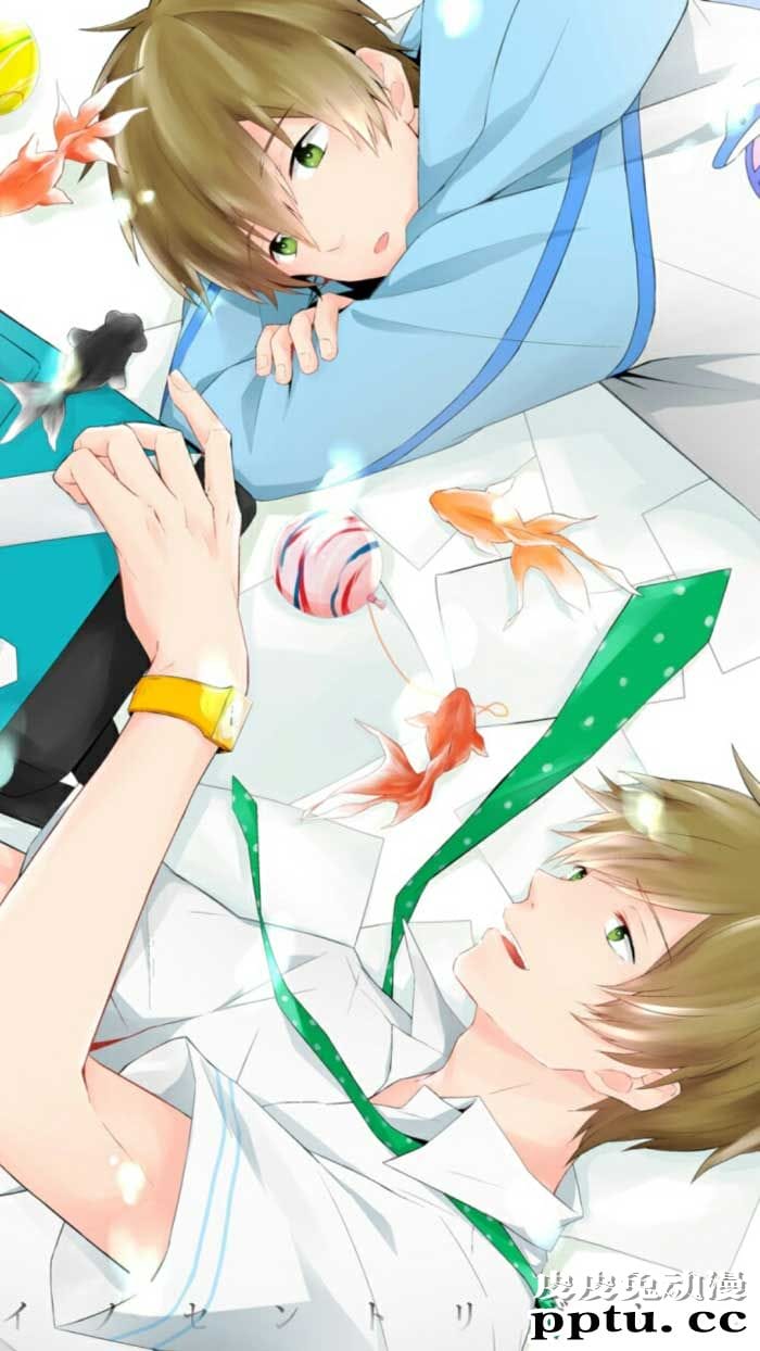 《free!》男子游泳部动漫图片分享