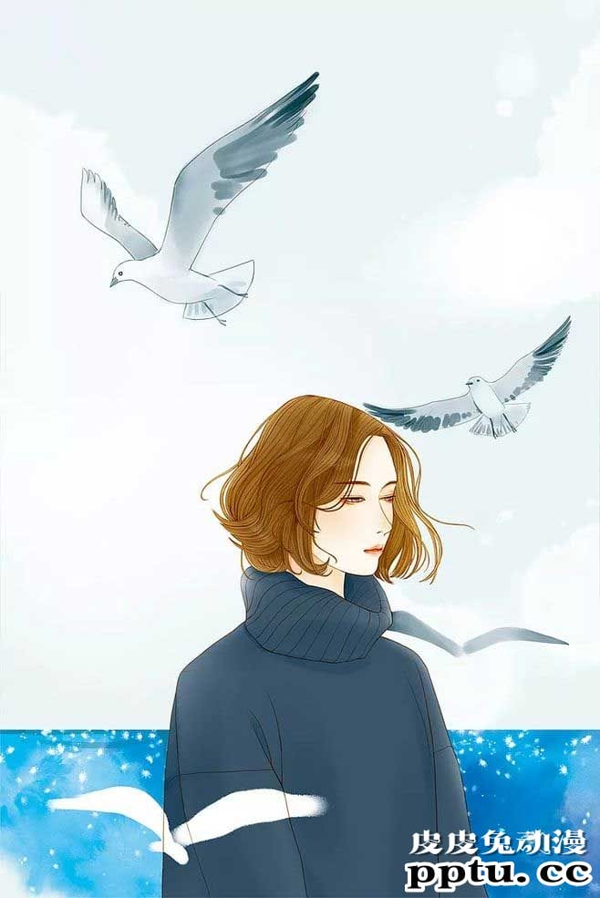 动漫插画海鸥