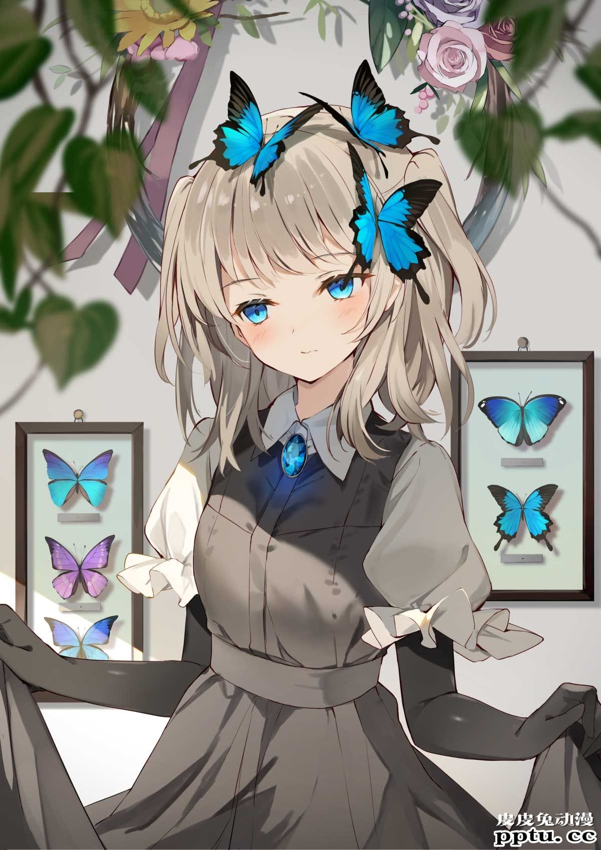 动漫少女美图合集分享