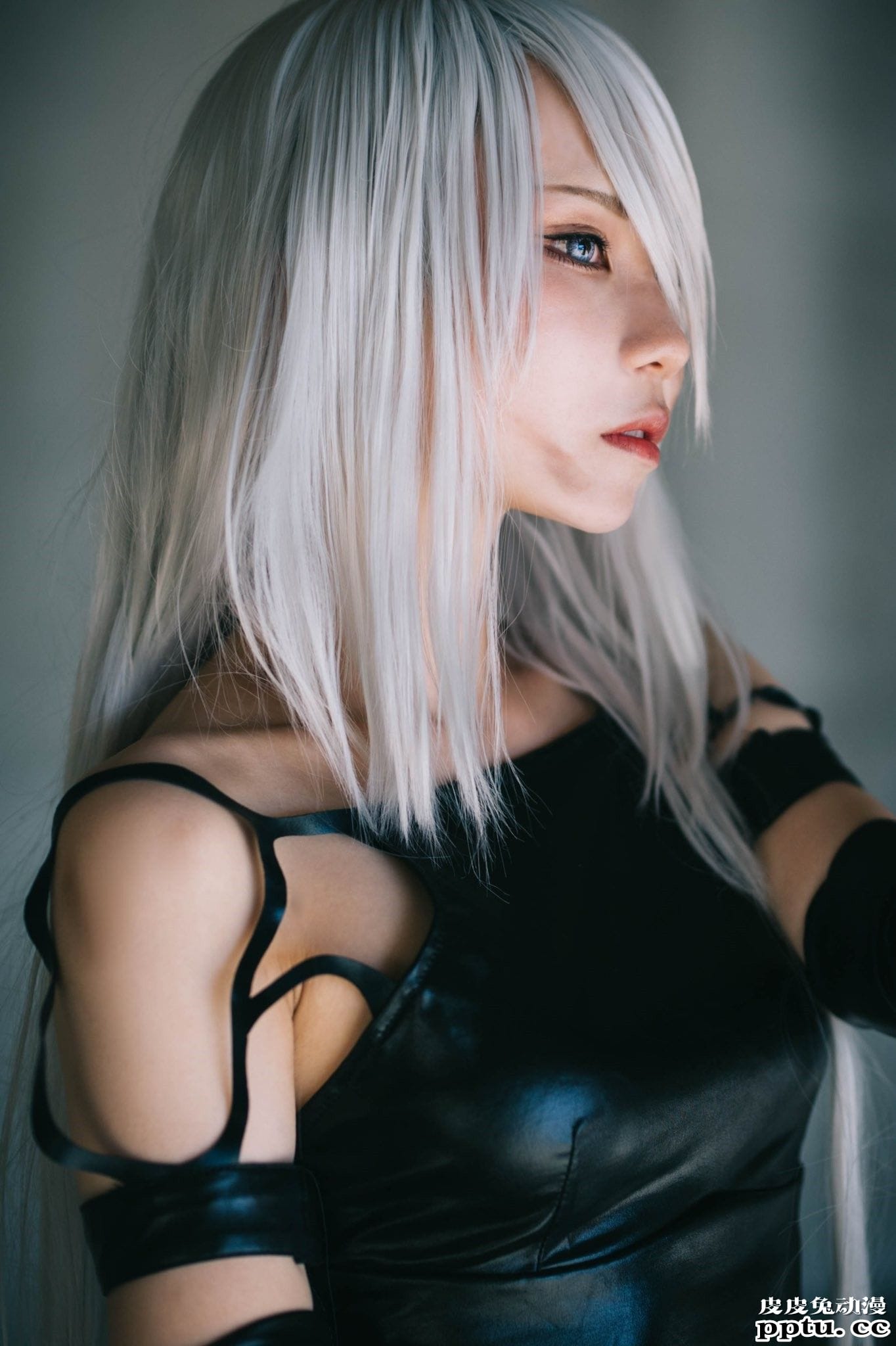 女王黑丝阿狸与水着小恶魔 一周大师级CosPlay赏