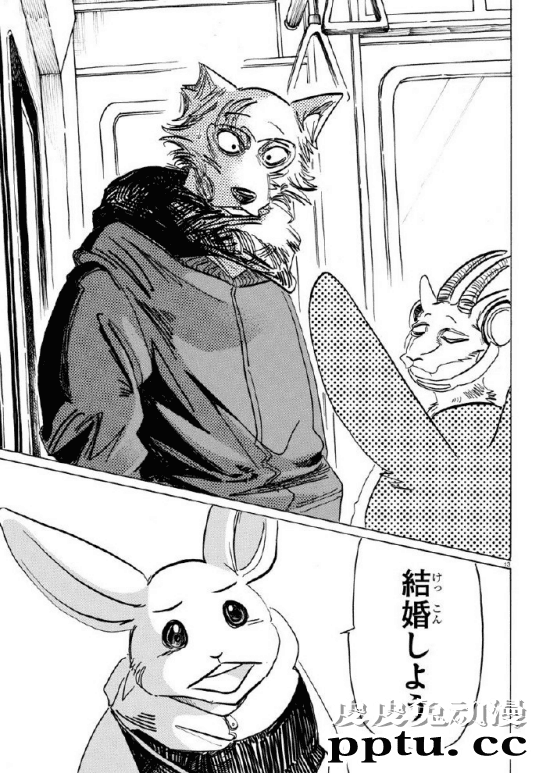 「BEASTARS」倒数第二话图透公开-皮皮兔动漫