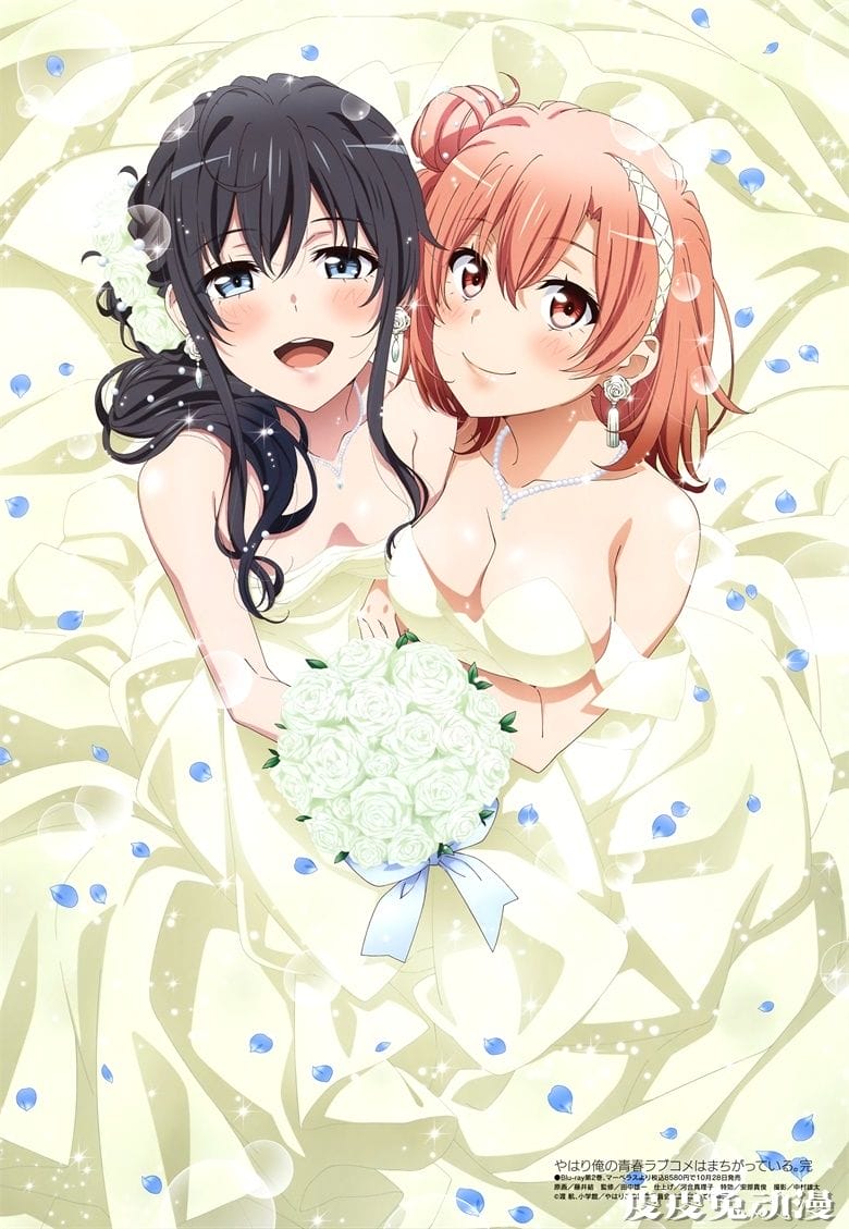 [megami] 2020年11月号图集 动画官方绘-皮皮兔动漫