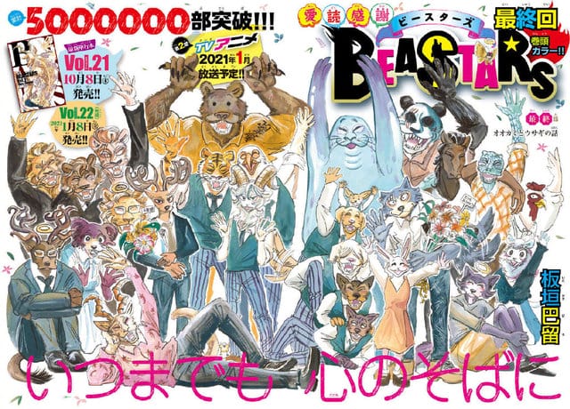 「BEASTARS」最终话情报公开-皮皮兔动漫