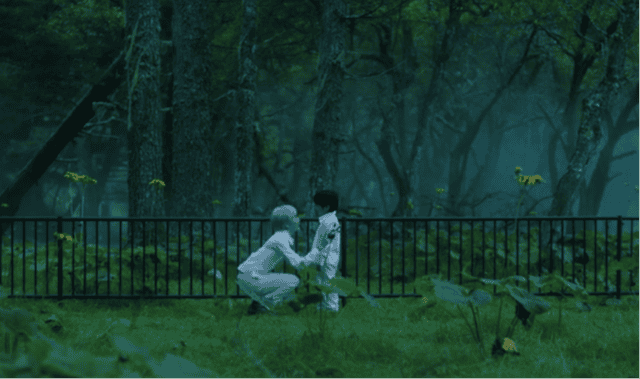 漫改剧「约定的梦幻岛」主题曲预告公开