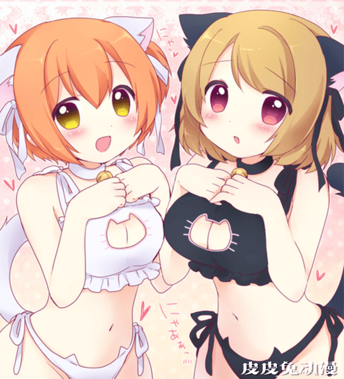 绅士福利——猫咪内衣动漫图片合集分享