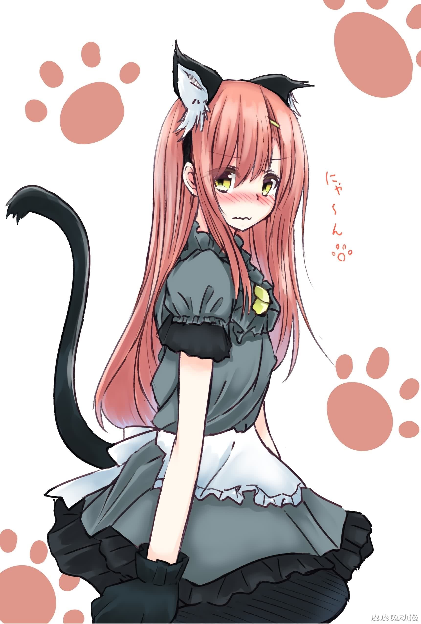 旋风管家！《桂雏菊》高清壁纸特辑！