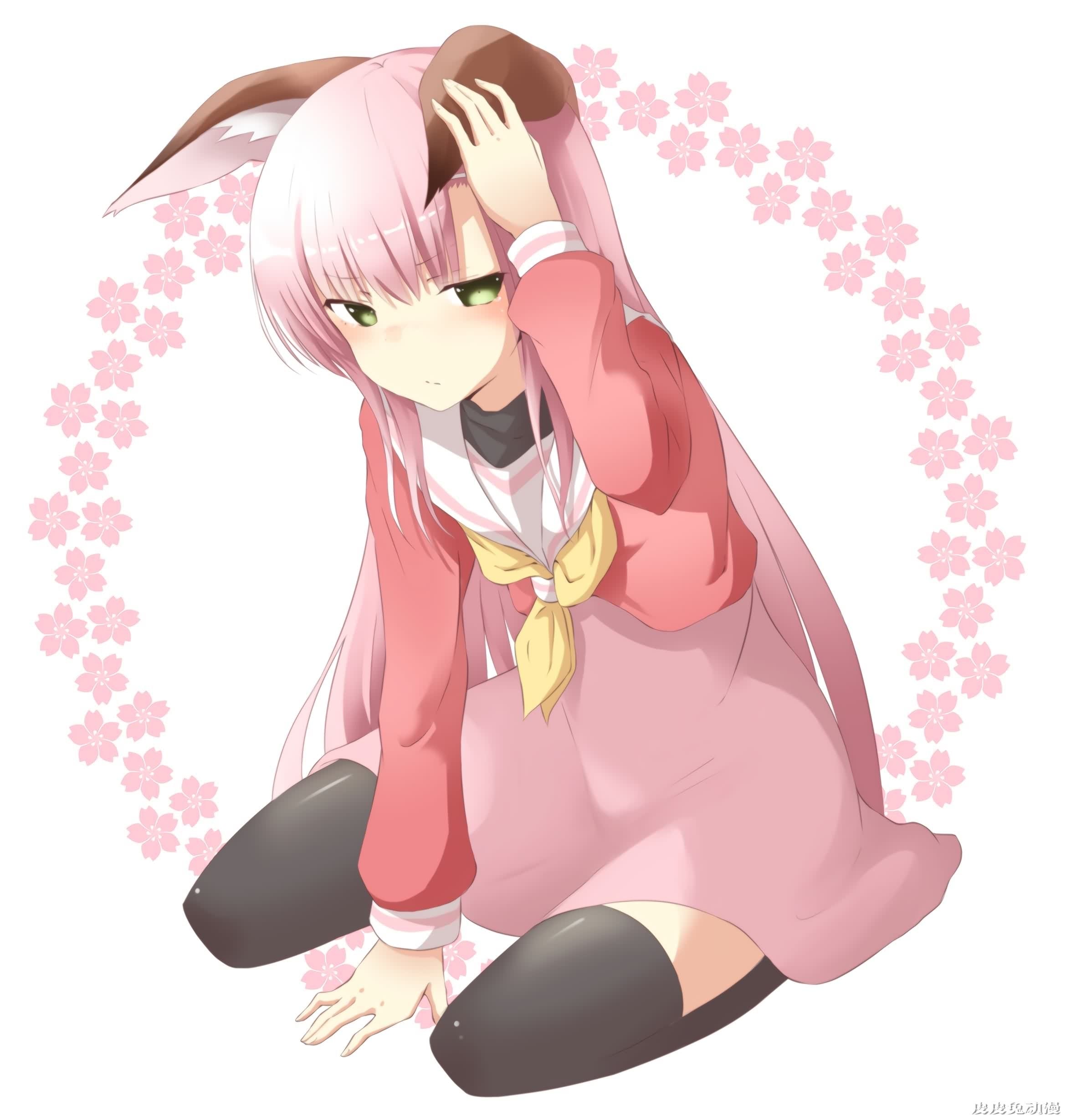 旋风管家！《桂雏菊》高清壁纸特辑！