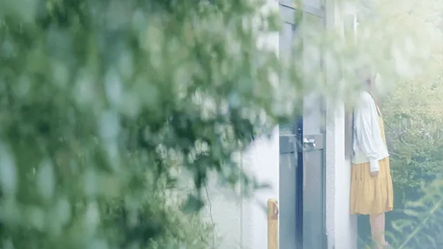 动画电影「フラ・フラダンス」真人PV公开-皮皮兔动漫