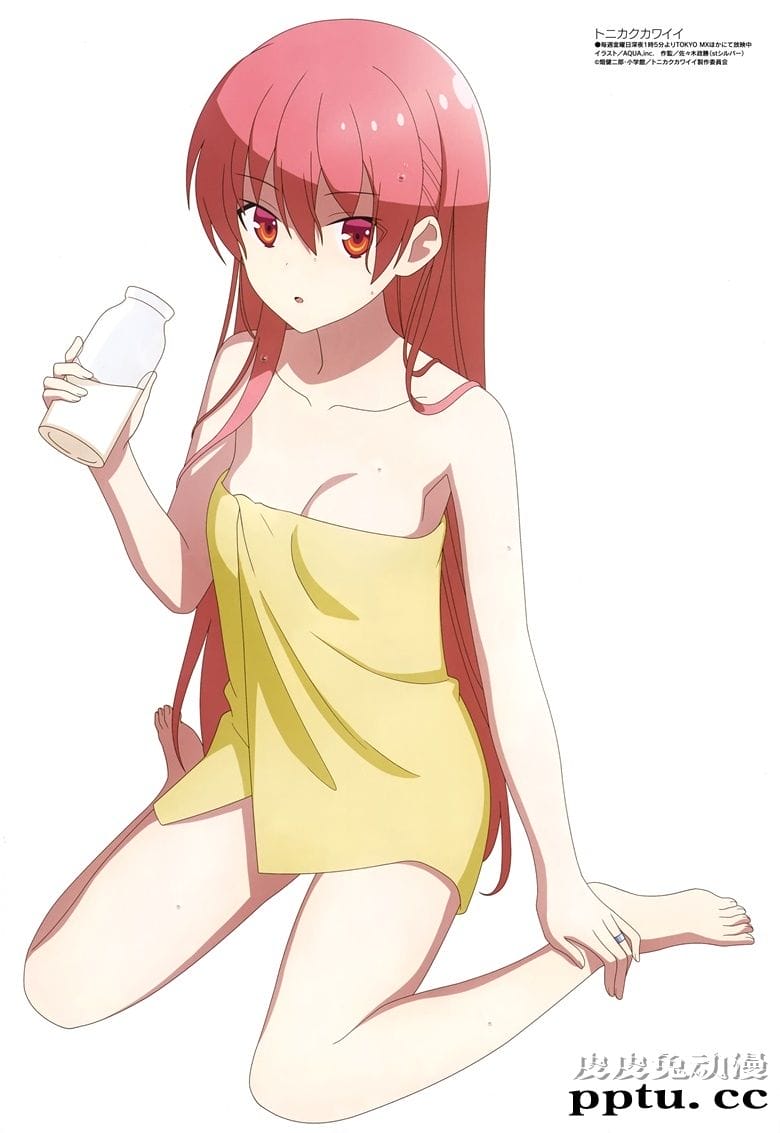 [megami] 2020年12月号图集 动画官方绘-皮皮兔动漫